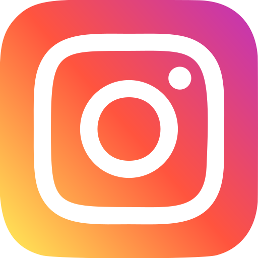 BlueAgency-Instagram Ads